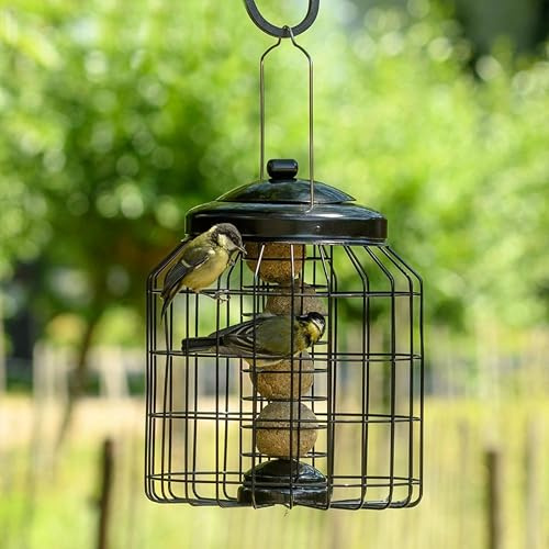 CJ Wildlife Meisenknödelhalter – Meisenknödelhalterung mit Schutzkäfig – 2-in-1 Futterstelle aus pulverbeschichtetem Metall – wetterbeständig – schwarz – für kleine Wildvögel