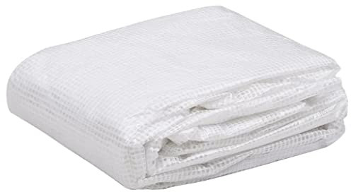 INLIFE Bâche de rechange pour serre (27 m²) 3 x 9 x 2 m Transparent