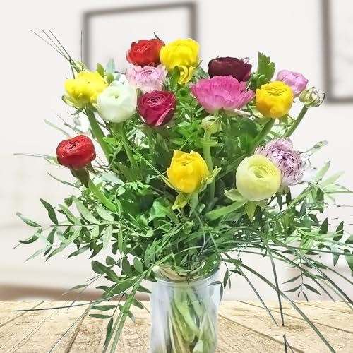 Bunte Ranunkeln - Bunter Blumenstrauß Frühling