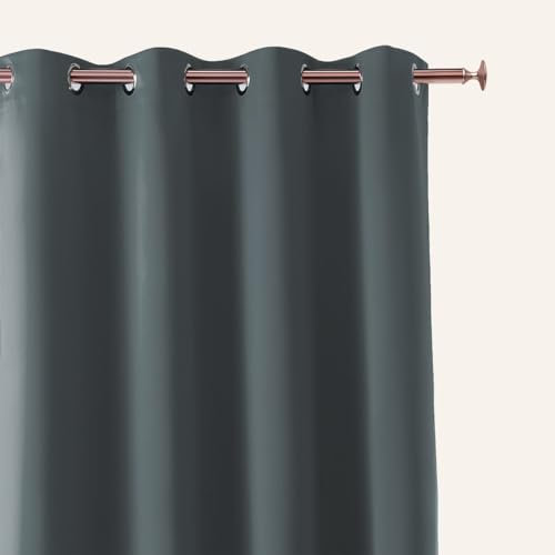 ROOM99 Vorhang mit Silberen Ösen Aura 180 x 260 cm Breite x Höhe Schiebegardinen Modern Curtain Wohnzimmer Schlafzimmer Dunkelgrau, 1 Stück