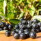 Aronia Viking 2L - Sie gilt als eine der gesündesten Beeren der Welt