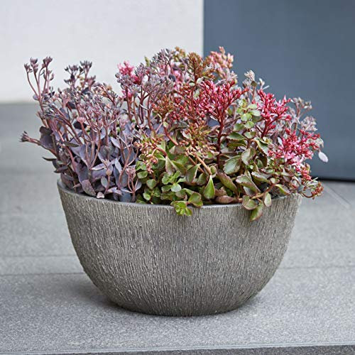 Kleine Pflanzschale Kunststoff Rillenstruktur - Neu 2020 - Schale Rund zum Bepflanzen – Kunststoffschale Tischdeko - Blumenschale Winterfest (Ø 26cm - Höhe: 13cm, Anthrazit)