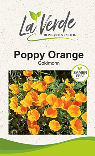 Goldmohn Orange Blumensamen