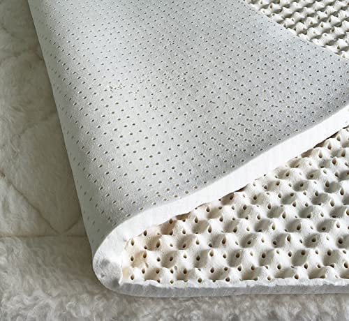 Green Natural Organic Egg Crate Latex Mattress Topper Twin XL Size - Medium Firm - GOLS Certified Organic Convoluted Latex Foam - Pressure Point Back Pain Relief Sleeps Cool Breathable Bed Pad