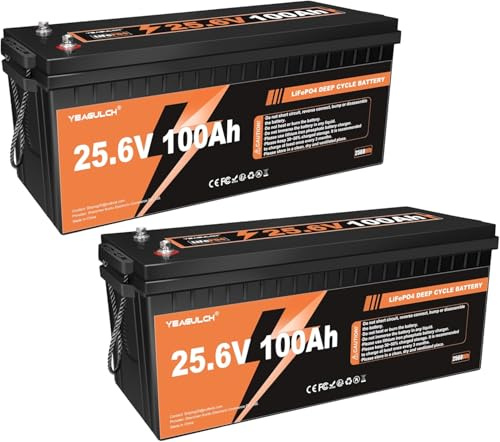 Yeagulch 24V 100Ah 2 Unità Batteria al Litio LiFePO4, 2560Wh cad, BMS 100A, 4000-15000 Cicli, per Solare, Camper, Accumulo Domestico