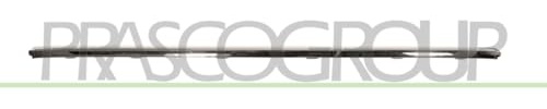 Prasco VG0551275 Protective Strips