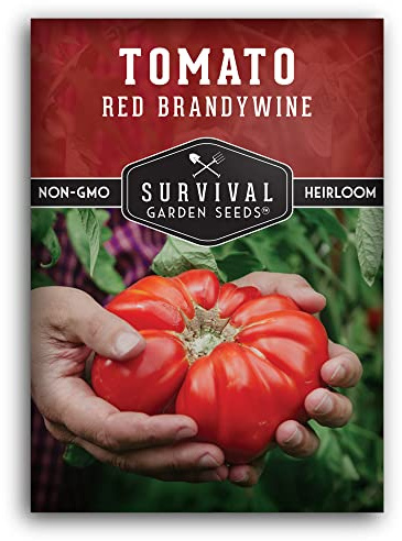 Red Brandywine Tomato Seeds for Planting – Heirloom Non-GMO Indeterminate Beefsteak Variety – Large Sweet Red Tomatoes, High Germination, Classic Flavor – Survival Garden Seeds (1 Pack)