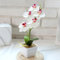 HpLive Orchideen künstlich in Töpfen Kunstblumen im Topf Simulierte Blume 5-köpfiger Phalaenopsis kleiner Bonsai für Hochzeit Partei Tischaufsätze Blumenarrangement Heim Küche Dekor(weiß)