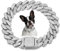 Silbernes Hundehalsband, glitzernde Diamanten, kubanische Gliederkette, Glitzerkette, Strass-Hundehalskette für kleine, mittelgroße und große Haustiere, 25,4 cm