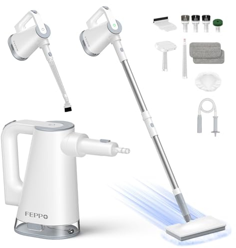 FEPPO Scopa a vapore con pulitore a vapore portatile rimovibile per la pulizia della casa e del pavimento, accessori multiuso 10 in 1 e 2 tamponi, potente vapore per pavimenti, legno duro, piastrelle