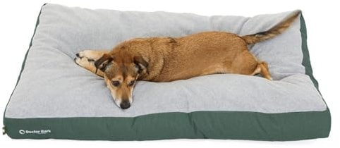 Doctor Bark Hundekissen Mittelgroße Hunde Waschbar - Hundebett Weich Flauschig - Strapazierfähiges Kuscheliges Liegekissen - GreenLabel (M - 88x60 cm, Grün)