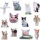 12 Stück Cat Meme Fridge Magnet Kühlschrankmagnete, Katze Magnet, Lustige Meme-Tier-Kühlschrankmagnete, Lustige Magnete Kühlschrank Tiere, Magnete Kühlschrank Lustig, Flexibel Wiederverwendbar