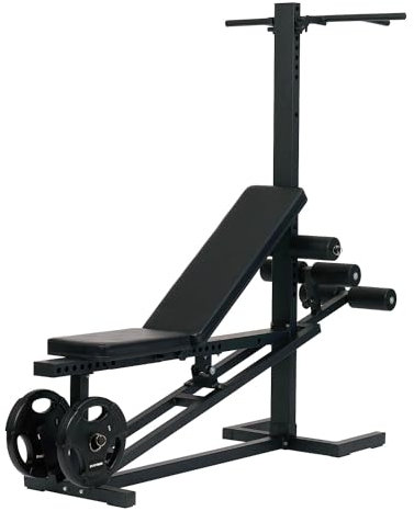 Sport-Thieme Trainingsbank Multifunktional | Ohne Ablage | Schwarz | Verstellbare Rückenlehne | Max. Belastung 150 kg | Metall | 200x90x186 cm