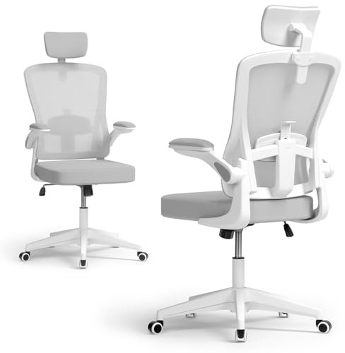 BLINNGO Bürostuhl, ergonomischer Bürostuhl mit Verstellbarer Lendenwirbelstütze und Kopfstütze, Schreibtischstuhl mit hoher Rückenlehne, atmungsaktiver Netzstuhl für Arbeit und Studium (Grau)