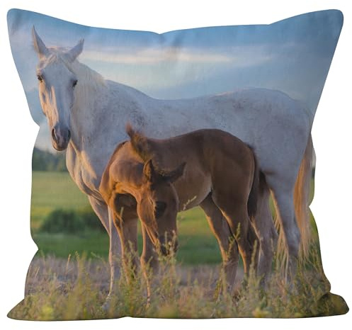 CEVAN Leinen Kissenbezüge Orientalisch Kissenbezug Sofa Pferd Kissenbezüge Elegant Kissenhülle Jugendzimmer Kissenbezüge Sofa Dekor 50x50cm,1Pcs