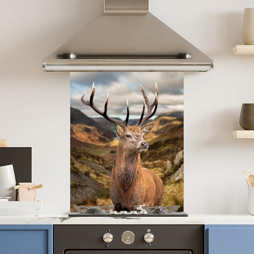 Toughened 6mm Glass Kitchen Splashback 60 x 75cm Stunning Stag - Polished Edge Heat Resistant Back Splash for Cookers Hob