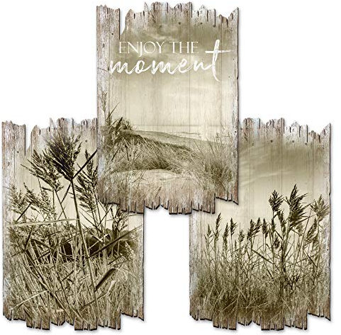 Kreative Feder Shabby Chic Landhausstil Wandbilder Holz | Deko-Schilder aus Holz im 3er Set | Wanddeko für Ihr Zuhause | in 30x20cm (Strand)