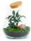 urbanjngl Terrarium végétal - Teddy - Ecosystème végétal -↑26.5 cm - Jardin en Bouteille - Bricolage - Kit de Bricolage - Ensemble Complet de Terrarium - Mini écosystème avec Plantes en Bouteille
