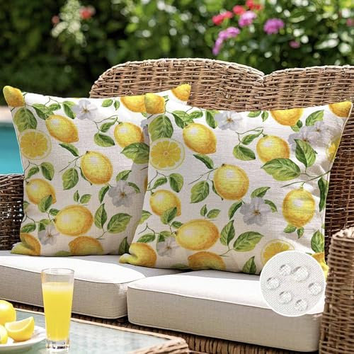ViaElayu Outdoor Kissenbezug 50x50 cm Gelb Zitronen Kissenhüllen Outdoor Kissen Wetterfest Sofakissen Dekokissen Gartenkissen Couchkissen Frühling Sommer Deko für Wohnzimmer Bank Terrasse 2er Set
