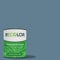 RECOLOR Eco-Friendly Interior Premium Latex Paint for Walls, Furniture and Rooms w/ Eggshell Finish, 1 Quart, Storm