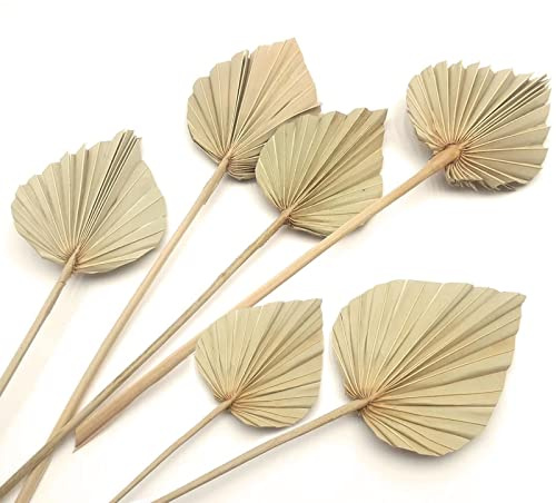 Foglie di palma secche bohémien, piccole piante di palma secche, con stelo, decorazione da parete per casa e ufficio, decorazione da parete con fiori tropicali per matrimoni, decorazione da tavolo per