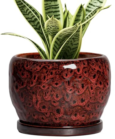 SQOWL Pot de fleurs en céramique pour intérieur et extérieur avec trou de drainage et soucoupe, pot de fleurs décoratif pour extérieur, porche, cadeau de pendaison de crémaillère, rouge