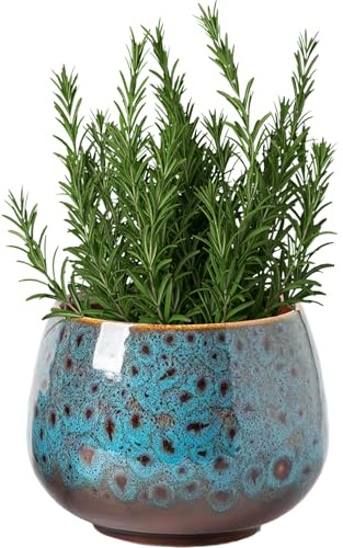 Faroby Macetero Lotus Bowl, macetas Redondas de cerámica de 4, 2x4 Pulgadas, Cuenco Decorativo Vintage de Flor de Loto con Base Antideslizante, Estilo 1