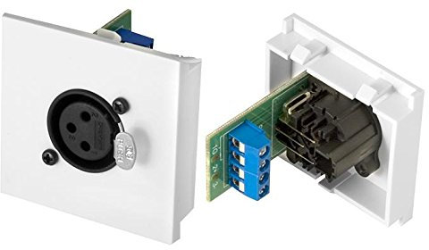 CONEC2, XLR hembra a tornillo de 50 mm | Placas de pared y cajas de suelo Cable audiovisual, 1 unidad – CLB50-XLR