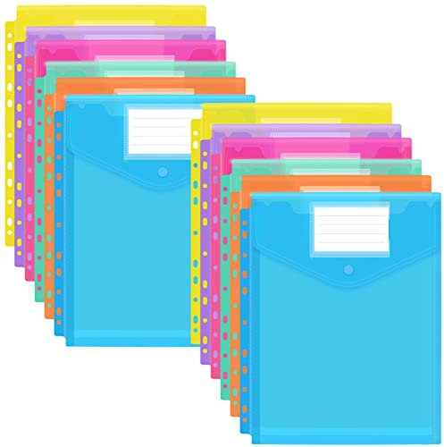 FYY Dokumententasche A4 3D Dokumentenmappen A4 Transparent Druckknopf zum Abheften,A4 Sammelmappen für Dokumente Organisieren Binderlöcher Etikettentasche (12 Dreidimensional - Farbe)