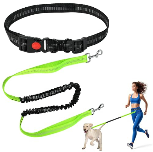 VGECEE Laisse de Jogging pour Chien Ceinture Réglable et Élastique Rétractable pour Jogging Laisses Élastique Longe avec Coutures Réfléchissantes Laisse de Course pour Chiens Moyens et Grands 15-60 kg