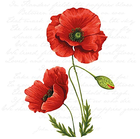 Ambiente Serviette Klatschmohn 33x33 cm Papier Einseitig Bedruckt