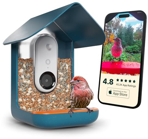 BIRD BUDDY Smart Bird Feeder with Camera in HD for Beautiful Close-ups and Unique Bird Watching