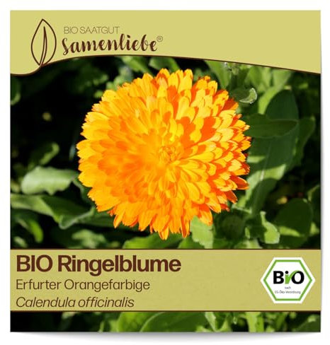 Samenliebe BIO Ringelblume Samen alte Sorte Erfurter Orangefarbige Wildblume Blumenwiese orange 100 Samen samenfestes Blumen Saatgut für Gewächshaus Freiland und Balkon BIO Blumensamen