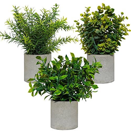 DANISCH 3 Sets Mini Potted Artificial Plants Indoors in Pots Fake Plants Eucalyptus Faux Plants Rosemary Plants for Office Desk Kitchen Bedroom Garden Indoor Outdoor Home and Room Decor