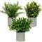 DANISCH 3 Sets Mini Potted Artificial Plants Indoors in Pots Fake Plants Eucalyptus Faux Plants Rosemary Plants for Office Desk Kitchen Bedroom Garden Indoor Outdoor Home and Room Decor