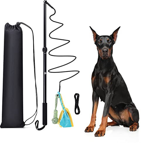 Flirt Pole Rope Giocattolo per cani con palla di corda e coda da inseguimento da masticare corda di cotone intrecciata per esterni Interattivo Rimorchiatore estensibile Teaser Bacchetta da