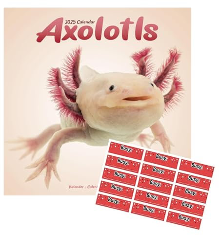 Axolotls Kalender 2024 mit kostenlosen Organisationsaufklebern