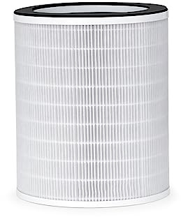 AENO Luftreiniger Filter AAPF1 Hepa H13 für AP1S