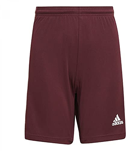 adidas Jungen Squadra 21 Shorts, Team Maroon/White, 13-14 Years