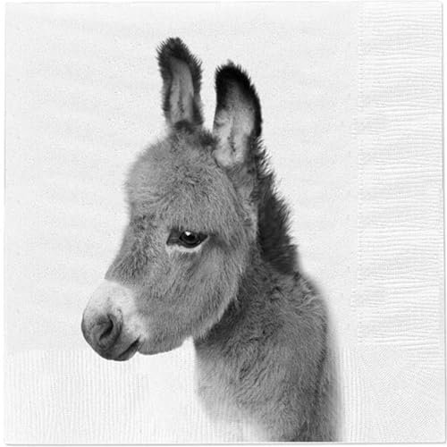 Cepewa - 66857 - Lunch Servietten, Papier, Esel, 20 Stück, 33cm x 33cm