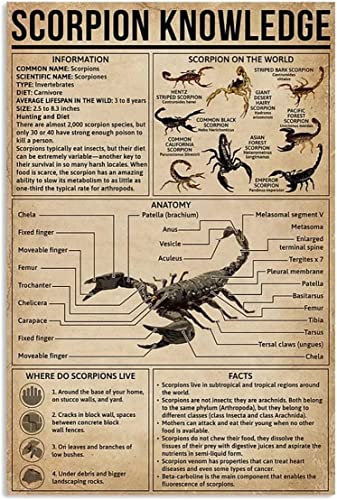 Oudrspo Metall-Blechschild „Scorpion Knowledge, Skorpion in der Welt, Retro-Poster, Wanddekoration, Heimdekoration, Wohnzimmer, Schlafzimmer, 30,5 x 40,6 cm