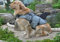 xiaoyu Giubbotto di Salvataggio per Cani, Gilet Regolabile per Cani con salvagente per Animali Domestici, Giubbotto di Salvataggio novizio per Animali Domestici, Grigio, L