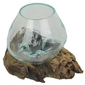 Melted Glass On Teak Driftwood Decorative Bowl/Vase/Terrarium Planter