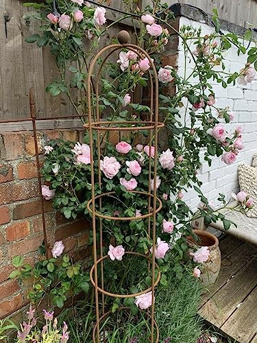 Rusty Round Garden Obelisk - Tall Rustic Metal Plant Support - Garden Frame Trellis - Rose & Crawling Plants Support - Garden Art… (Two Obelisks)