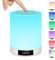 Bluetooth Lautsprecher LED Lampen, Berührungssensor-Nachttischlampe mit Wecker, MP3-Musik-Player, FM-Radio, LED-Lampe mit dimmbare warme Lichter 7 Farben, Geschenk für Kinder Mädchen Teenager