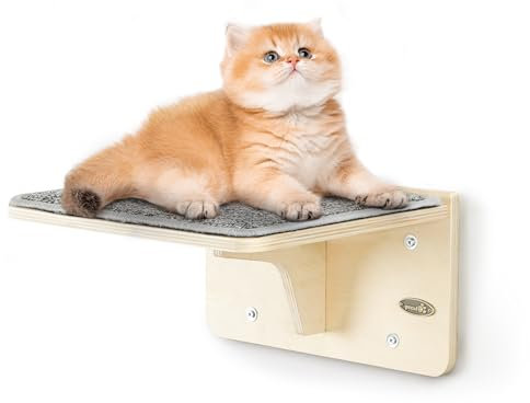 pecute Cama Ventana para Gatos, Pared y Cristal Universal, Mueble de Pared con Almohadilla de Fieltro Desmontable, Hamaca Ventana con Ventosa Fuerte, Estanterías para Gatos Escalar Dormir Arañar