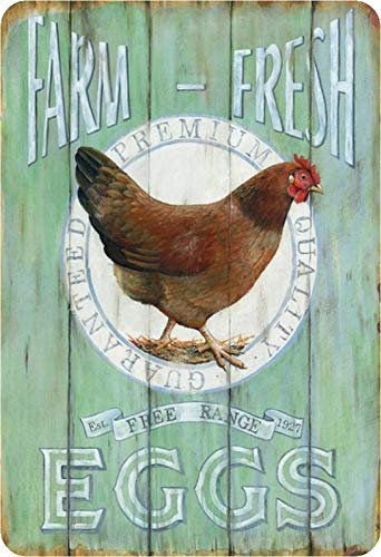 Schatzmix Blechschild Spruch Farm Fresh Eggs Huhn Metallschild Wanddeko 20x30 cm tin Sign