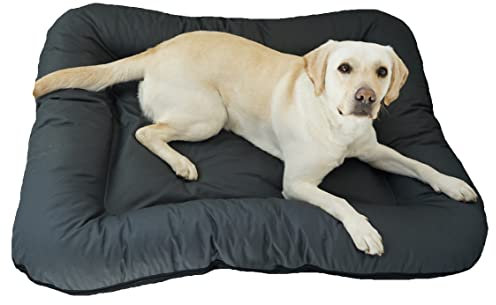 4L Textil KLEO Hundebett mittelgrosse Hunde waschbar Hundekissen mittelgrosse Hunde Hundematte Hundematratze Hundekissen abwaschbar (S-80x60 cm, Graphit(Mit Reißverschluss))