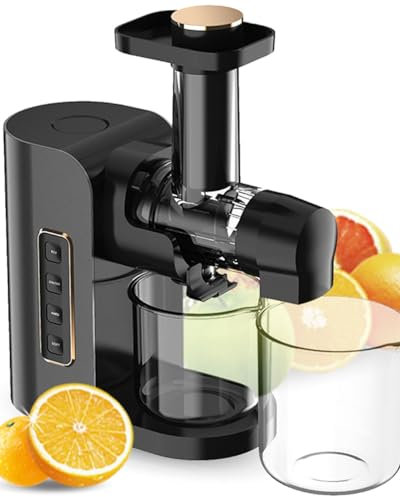 DINGK Juicer Machine, Slow Juicer Masticating Machine, Cold Press Juicer Reverse Function with Quiet Motor, Juice Extractor with 2 Cups and Brush for Fresh& Healthy Fruits and Vegetables