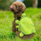 Hundekabelbaum mit Rucksack, 8x7in süßer Schildkröten -Hunde -Rucksackkabelbaum, Verstellbarer Rucksack für Hunde zum Tragen, Rucksack für kleine mittelgroße Hunde zu wandeln
